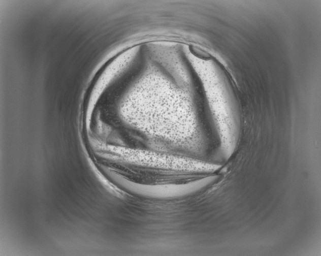 X0000072501523200608111615