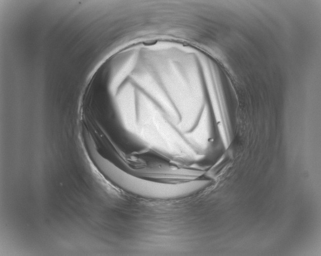 X0000072501524200608111615