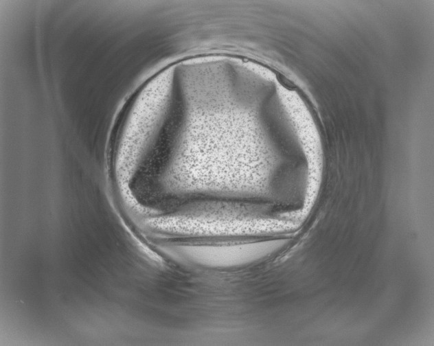 X0000072501525200608111615