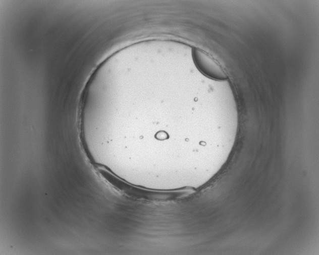 X0000072501526200608111615