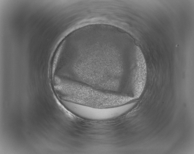 X0000072501527200608111615