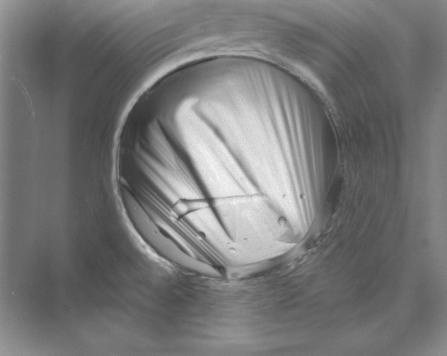 X0000072501528200608111615