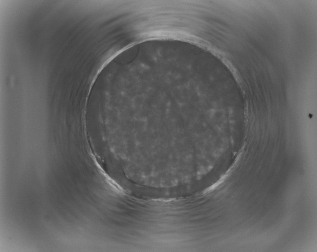 X0000072501529200608111615