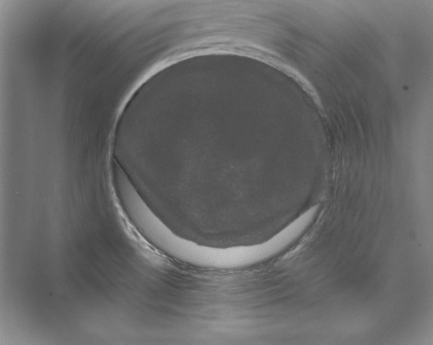 X0000072501530200608111615