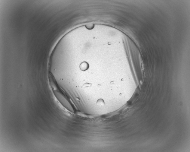 X0000072501532200608111615