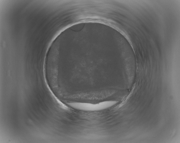 X0000072501533200608111615