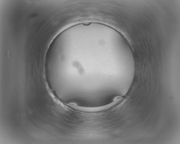 X0000072501534200608111615