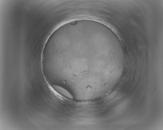 X0000072501535200608111615