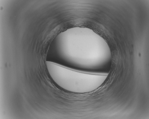 X0000072510044200607140923