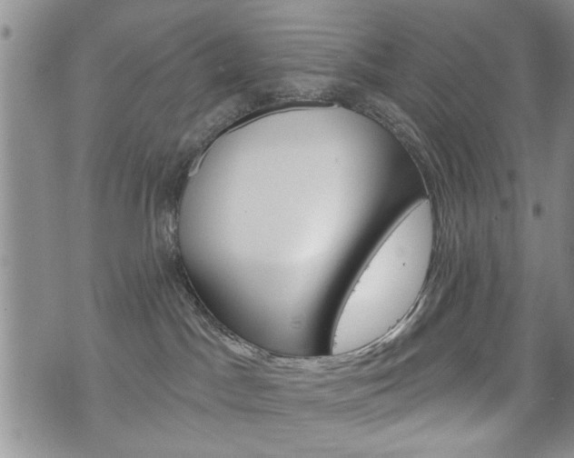 X0000072510045200607140923