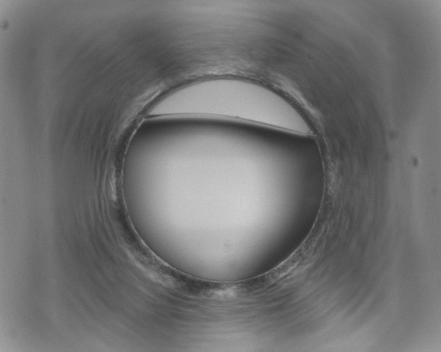 X0000072510068200607140923