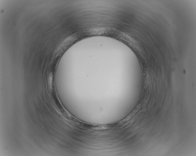 X0000072510118200607140922