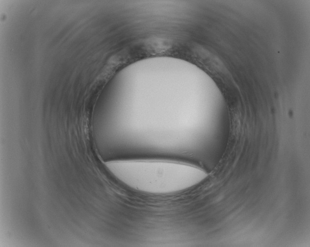 X0000072510274200607140920