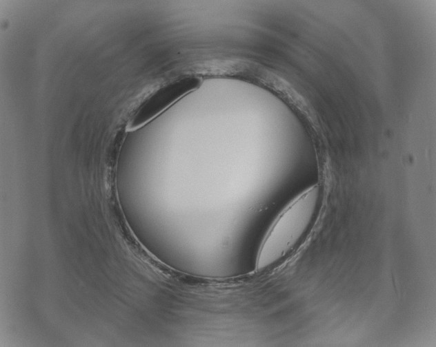 X0000072510305200607140919
