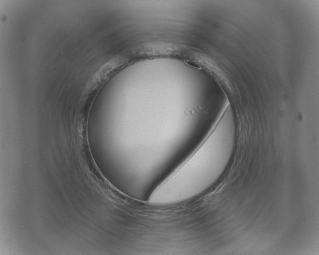 X0000072510309200607140919