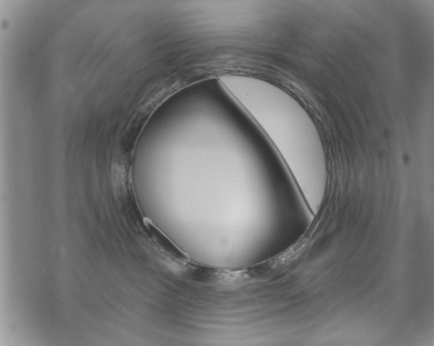 X0000072510333200607140918
