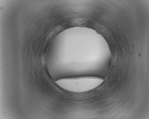 X0000072510335200607140918