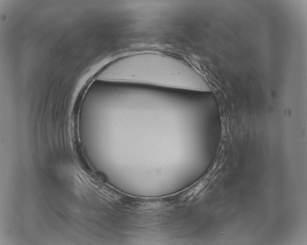 X0000072510342200607140918
