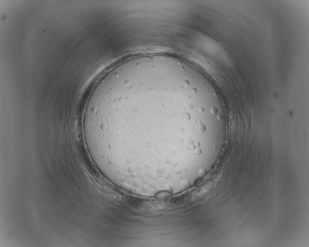 X0000072510351200607140918