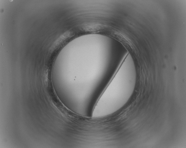 X0000072510404200607140917