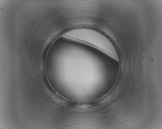X0000072510407200607140917
