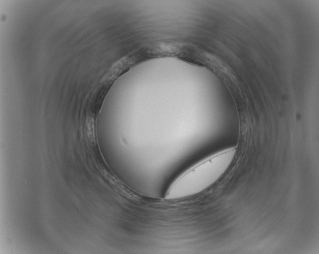 X0000072510425200607140917