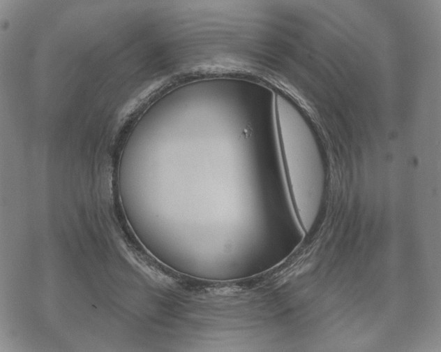 X0000072510446200607140916