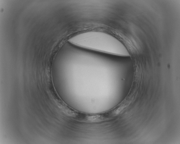X0000072510461200607140916