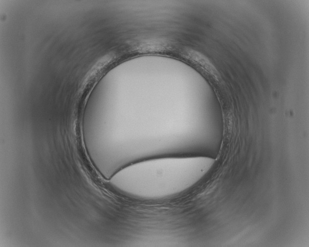 X0000072510491200607140916