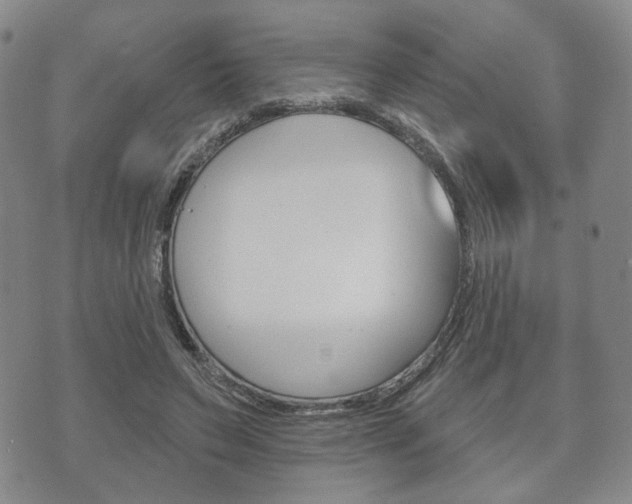 X0000072510495200607140916