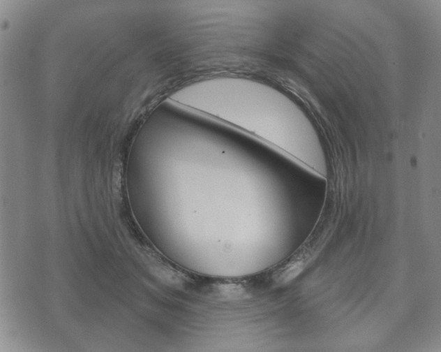 X0000072510509200607140915