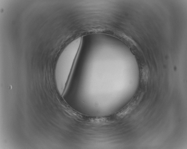 X0000072510517200607140915