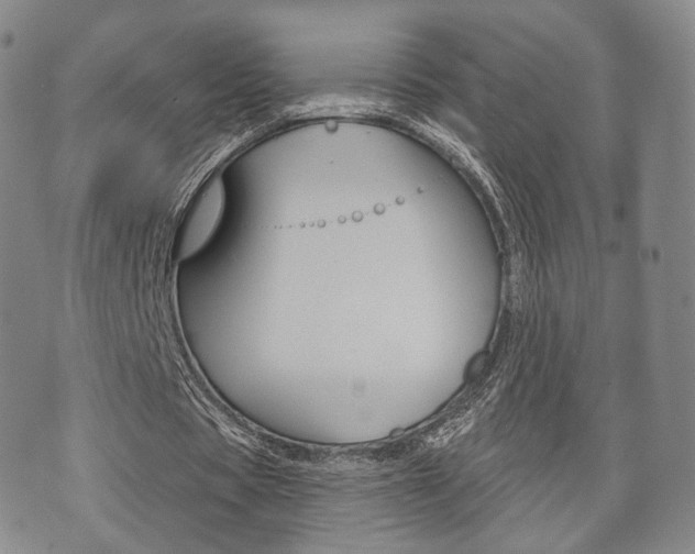 X0000072510529200607140914