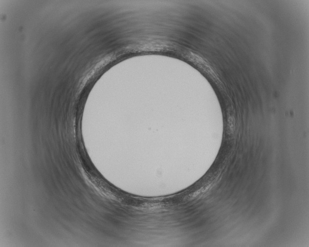 X0000072510534200607140914