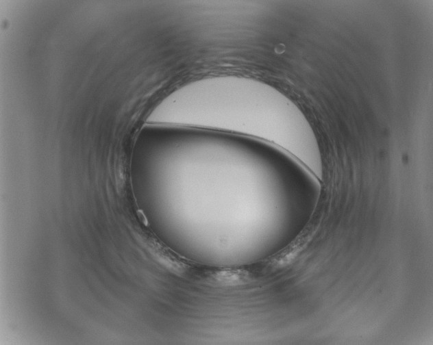 X0000072510566200607140915