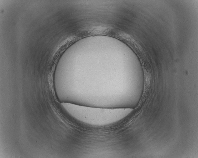 X0000072510591200607140914