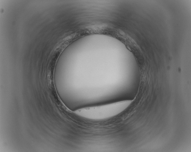 X0000072510599200607140914