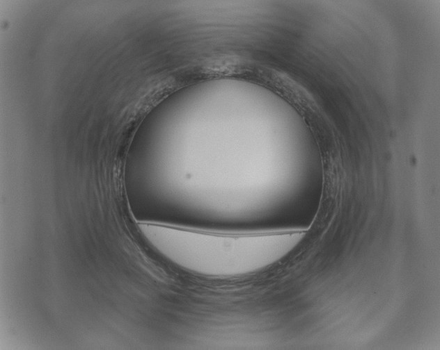 X0000072510601200607140914