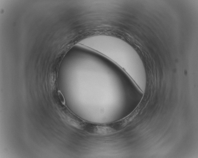 X0000072510605200607140914