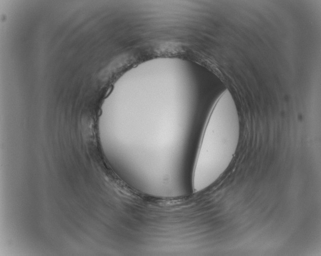 X0000072510619200607140914