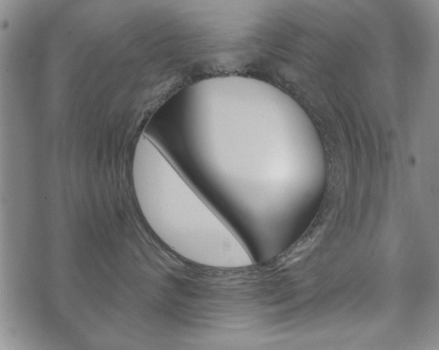 X0000072510624200607140914