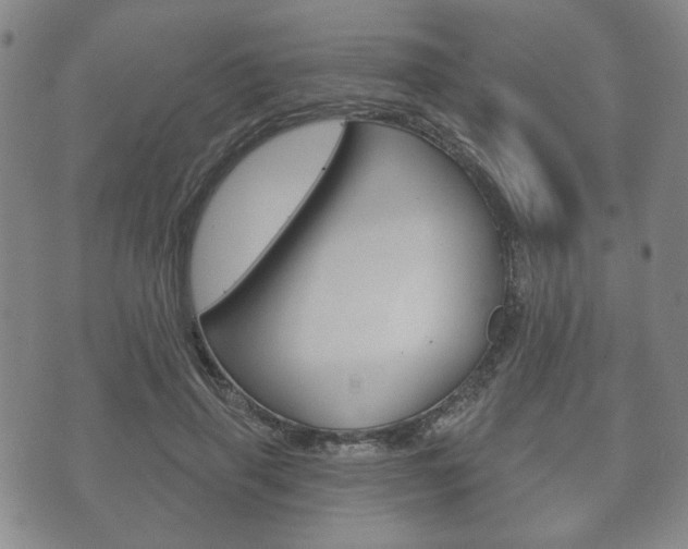 X0000072510645200607140913