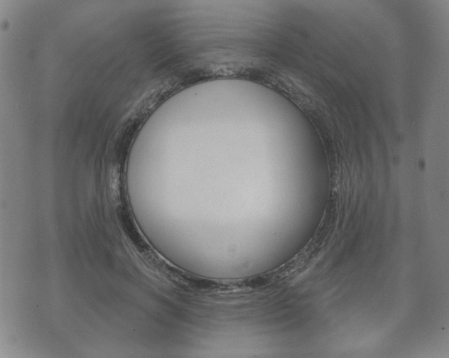 X0000072510646200607140913