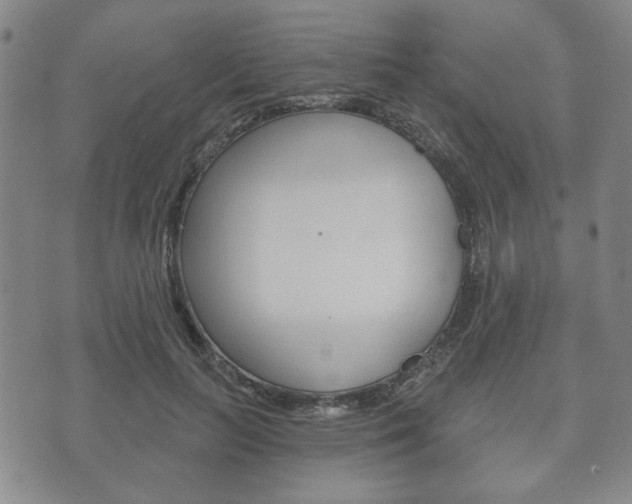 X0000072510647200607140913