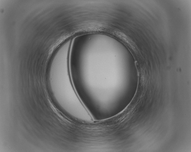 X0000072510677200607140913