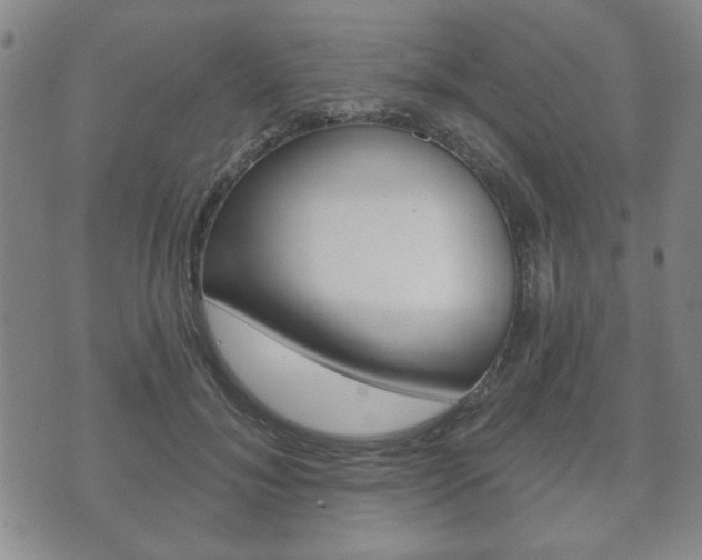X0000072510700200607140912