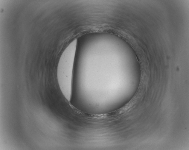 X0000072510720200607140912