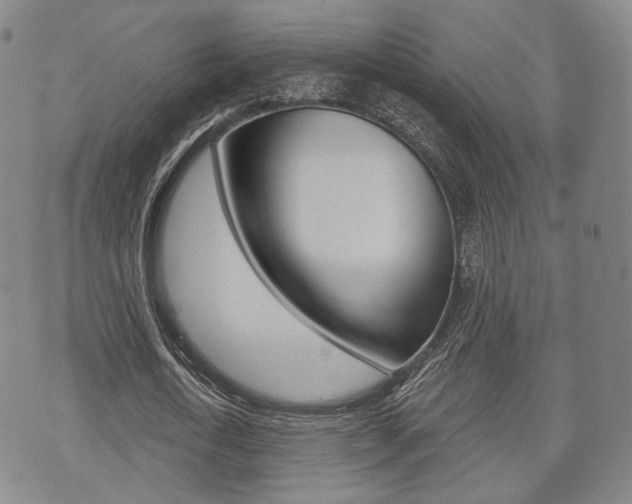 X0000072510722200607140911