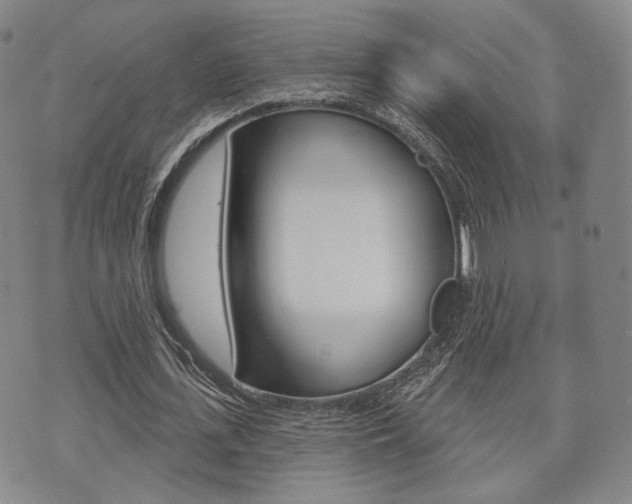 X0000072510723200607140911