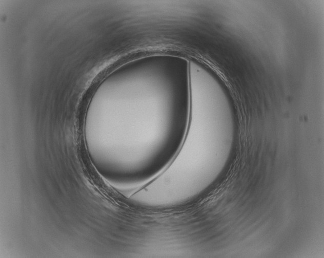X0000072510724200607140911